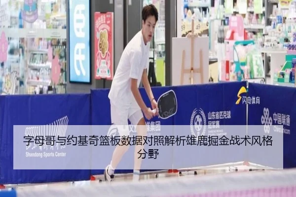 字母哥与约基奇篮板数据对照解析雄鹿掘金战术风格分野